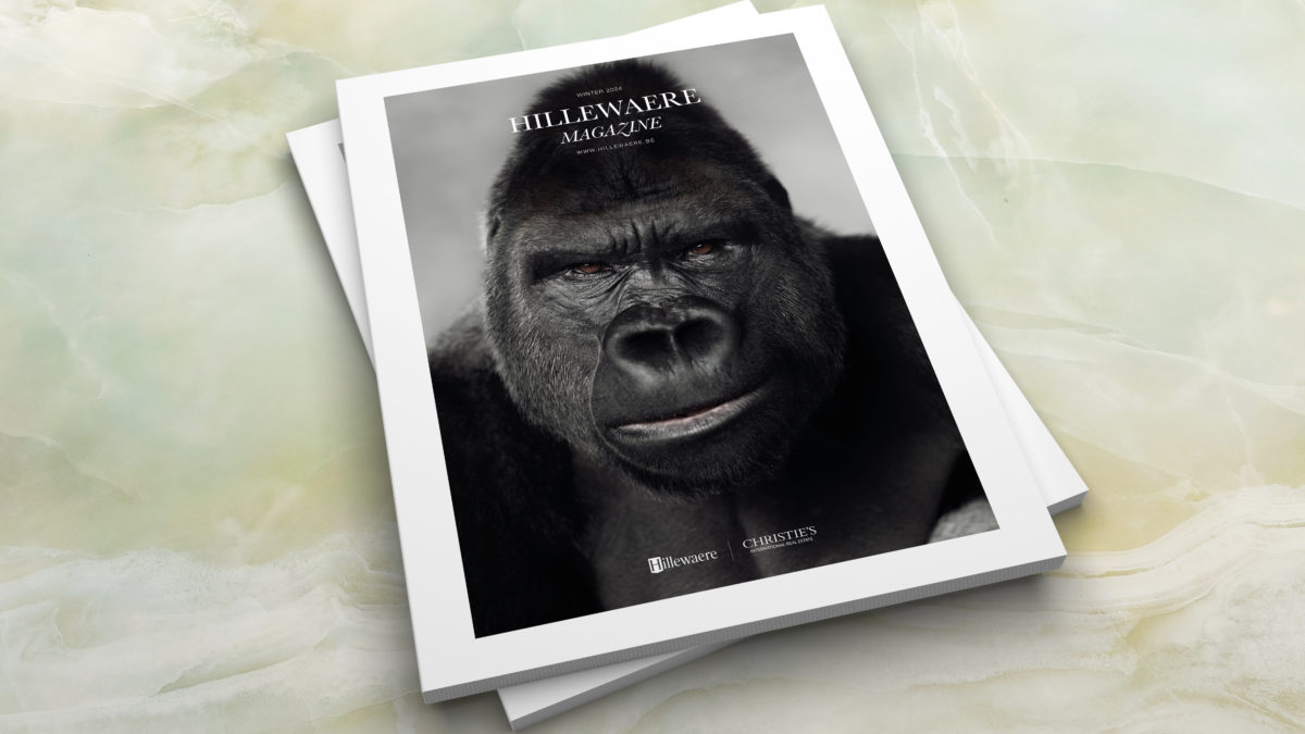 Visual Hillmag JRG22 2023